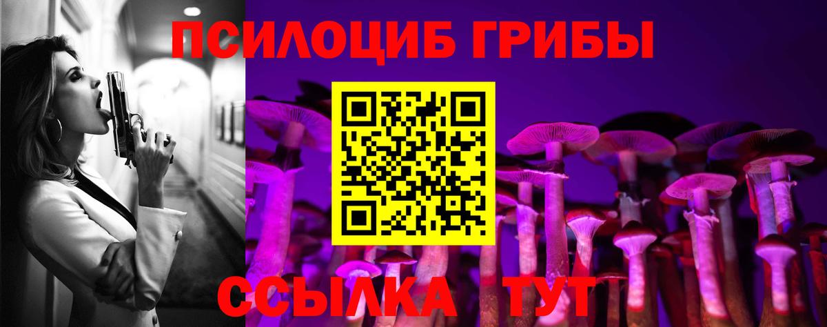 Псилоцибиновые грибы Psilocybe Торжок