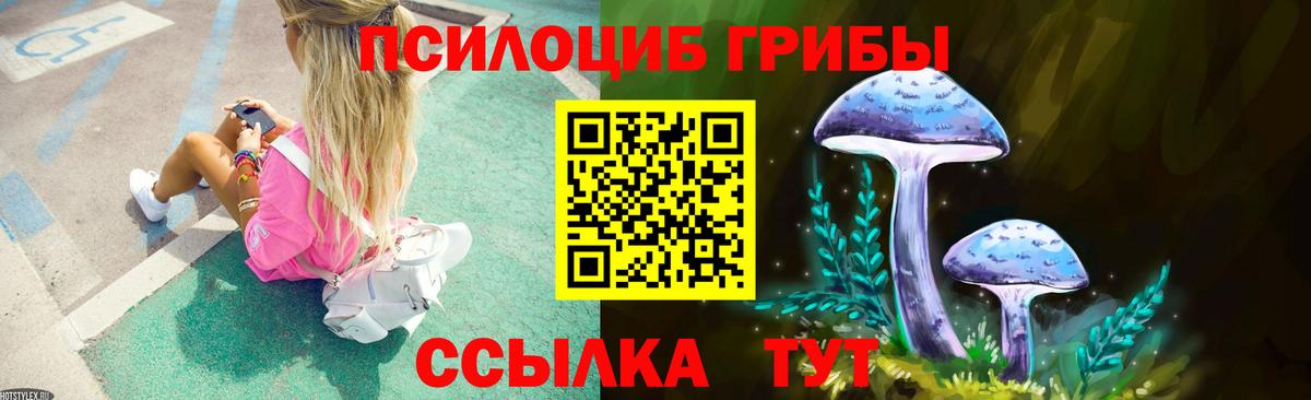 Псилоцибиновые грибы Cubensis  Галлюциногенные грибы Magic Shrooms  Торжок  Вход с VPN 